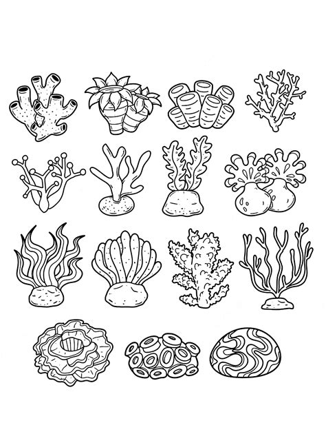 Simple Coral Reef Coloring Pages