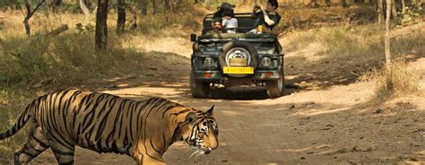 Corbett Dhela Safari Zone ,Dhela Tourism Zone Map in Corbett