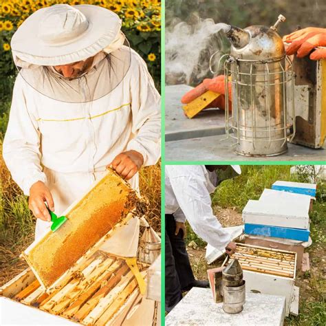How Much Do Honey Bees Cost On Hay Day at Nicholas Ramsey blog