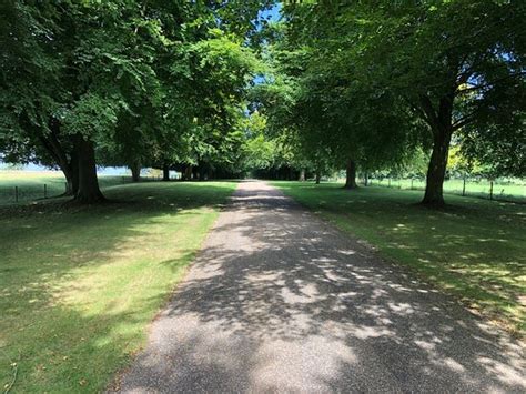 The Great Chiltern Walk (Great Missenden) - 2022 What to Know Before ...