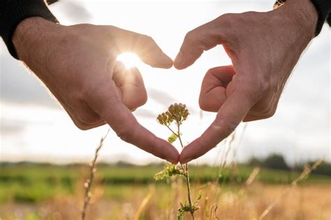 Conservative Nature Pictures 的图像结果