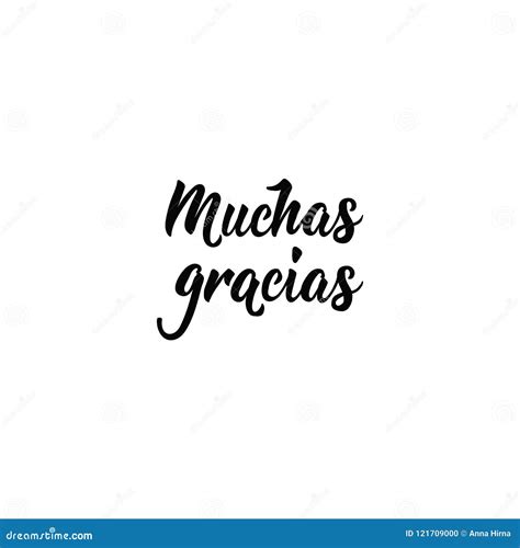 Text in Spanish: Thank You Very Much. Calligraphy Vector Illustration. Muchas Gracias Stock ...