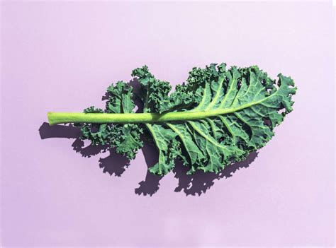 5 Superfoods for balanced diet - AERNS