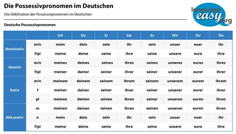 German Possessive Pronouns at language-easy.org! | Possessive pronoun ...