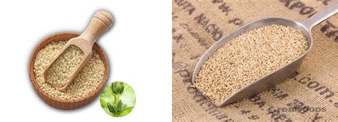 Agrimax International