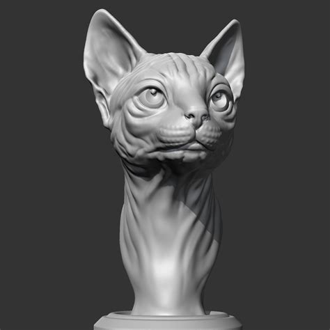 ArtStation - Sphynx Cat Head AM08 3D print model | Resources