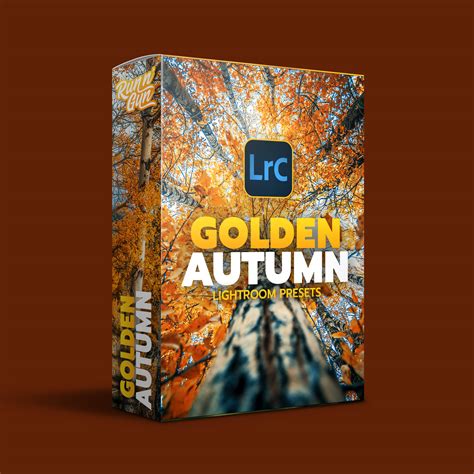 Golden Autumn Lightroom Preset Pack - Run N Gun Photography