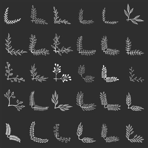 Vine pattern Royalty Free Vector Image - VectorStock