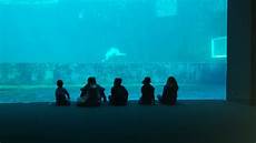 quanto costa l ingresso all acquario di genova domani andiamo a andiamo all acquario di genova quanto costa l ingresso all acquario di genova domani andiamo a andiamo all acquario di genova