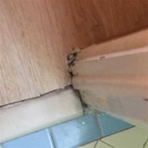 RODEWAY INN BOARDWALK (Atlantic City) - Hotel Reviews, Photos, Rate ...