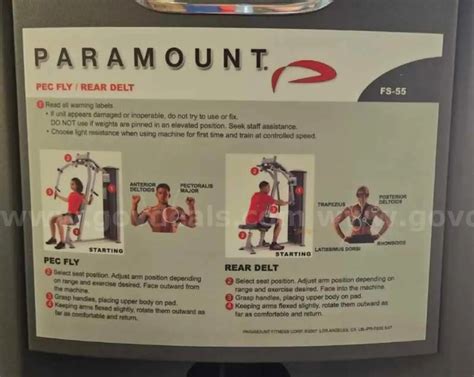 Paramount FS-55 Pec Fly / Rear Delt | GovDeals