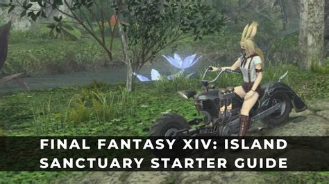 Final Fantasy XIV: Island Sanctuary Starter Guide
