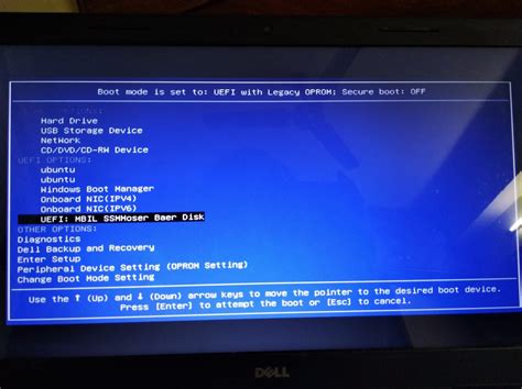 Image result for Multi Boot Setup