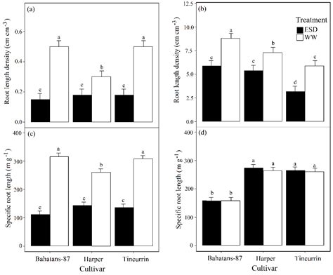 Early Season Drought Largely Reduces Grain Yield in Wheat Cultivars ...