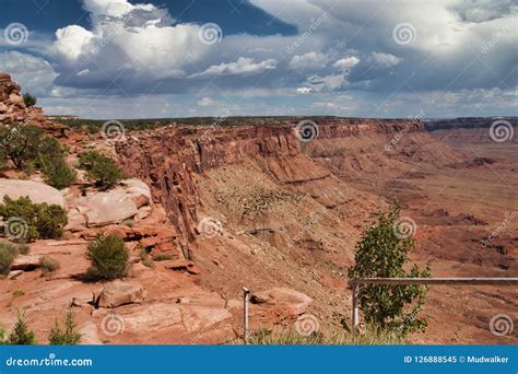 Needles Overlook in the Afternoon Stock Image - Image of afternoon ...