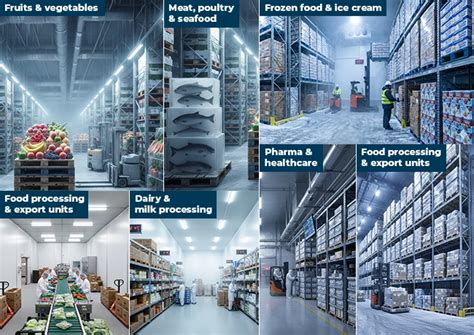 Cold Room Manufacturer in Greater Noida | Cold Storage Solutions ...