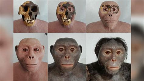 മനുഷ്യൻ പരിണമിച്ചത് കുരങ്ങിൽ നിന്നല്ല! ആരാണ് നിങ്ങളെ അങ്ങനെ ...