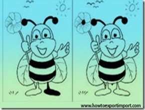 Difference between NVOCC and Freight Forwarder