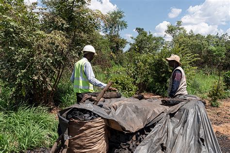Protected forests under threat in DRC's lucrative mining belt | AFP.com