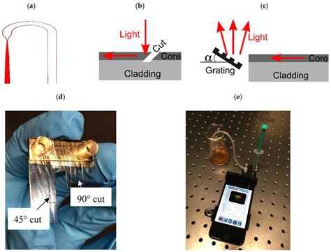 Photonics on a Budget: Low-Cost Polymer Sensors for a Smarter World
