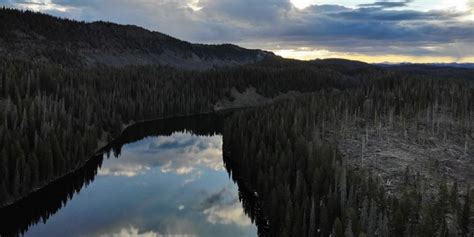 GMUG announce wildfire preparedness and roadway safety project