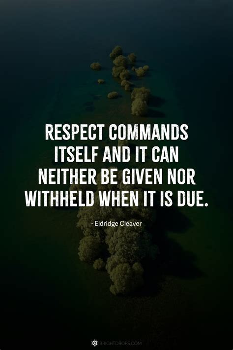 83 Valuable Quotes About Self Respect & With Others - Bright Drops