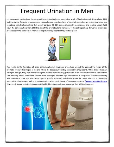 PPT - Frequent Urination in Men PowerPoint Presentation, free download - ID:7917872