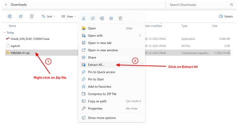 Oracle Client 19C 的图像结果