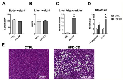 Hepatic Senescence Accompanies the Development of NAFLD in Non-Aged ...