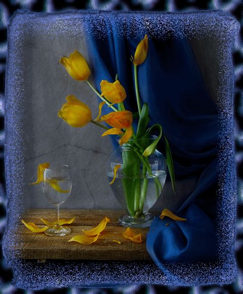 Image result for Tulips Flower Using Python