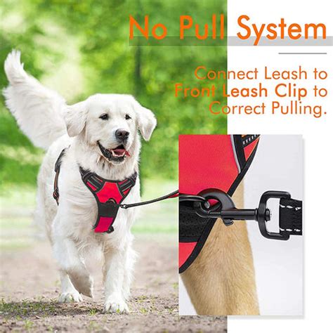PRO Harness - Black - Reflective | No-Choke | Adjustable – Indihopshop