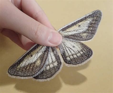 Image result for Python Code Math