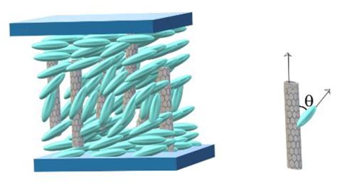 The Influence of Single-Walled Carbon Nanotubes on the Dynamic ...