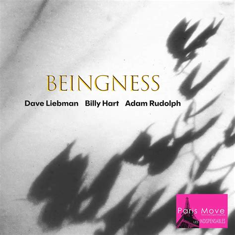 Dave Liebman, Billy Hart, Adam Rudolph - Beingness - Paris Move