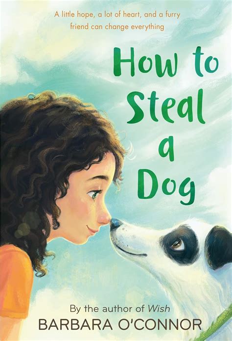 How to Steal a Dog: A Novel : Barbara O'Connor: Amazon.in: Books