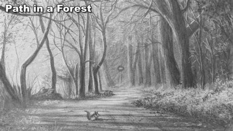 Path Drawing 的图像结果