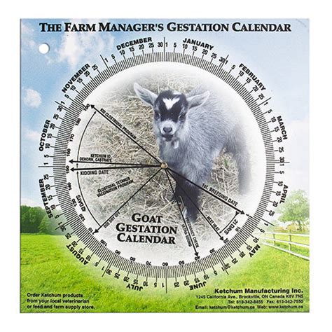 Goat Gestation Calendar - Track Kidding with Accuracy and Ease - Austral Ag