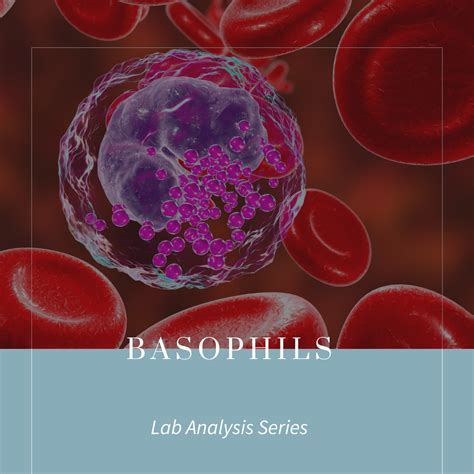 SARAH THOMPSON | FUNCTIONAL MATERNITY - Pregnancy Lab Values