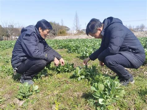 做好春耕备耕助力今年丰收 上海多举措确保粮食生产目标