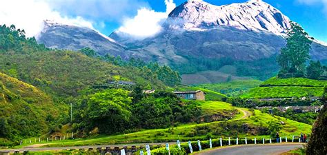 Munnar Pictures - Latest Munnar Travel Photos, Image Gallery of Munnar ...