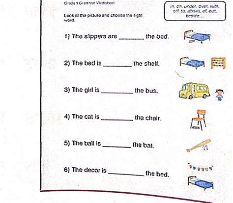 look at the picture and choose the right word - Brainly.in