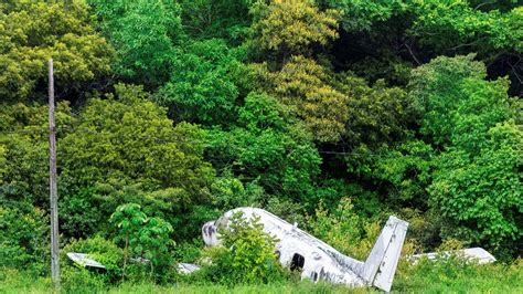 2 women miraculously survive after plane crash in Georgia