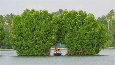 Places To Visit In Kollam On Your Next Adventure There In 2024
