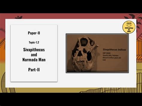 Paper-II; Topic 1.2 Sivapithecus and Narmada Man Part II Video Lecture ...