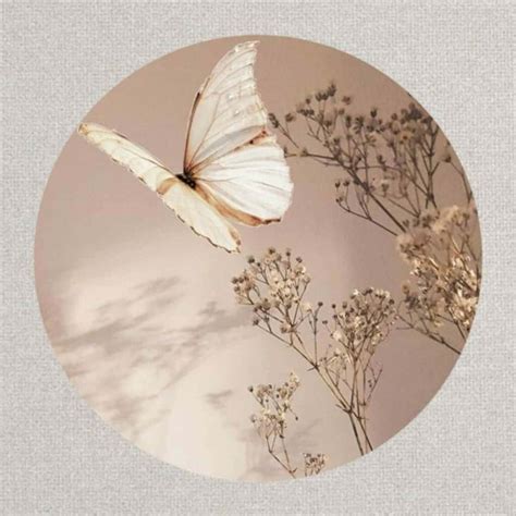 [100+] Aesthetic Cute Profile Pictures | Wallpapers.com