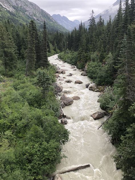 Picture I took of a river on the Yukon Trail in Skagway Alaska : r/pics
