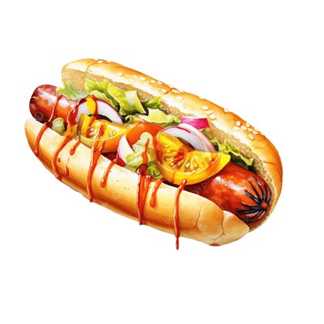 Watercolor Nutritious Hot Dog Bun Free Element, Watercolor, Hot Dog ...
