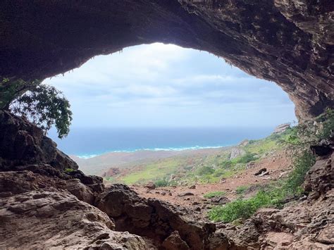 THIS IS SOCOTRA (2026) All You Need to Know BEFORE You Go (with Photos ...