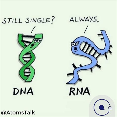 Biology Meme 的图像结果