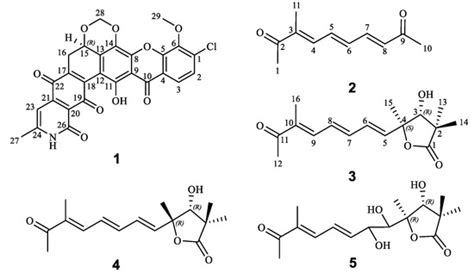 Bioactive Molecules from Mangrove Streptomyces qinglanensis 172205